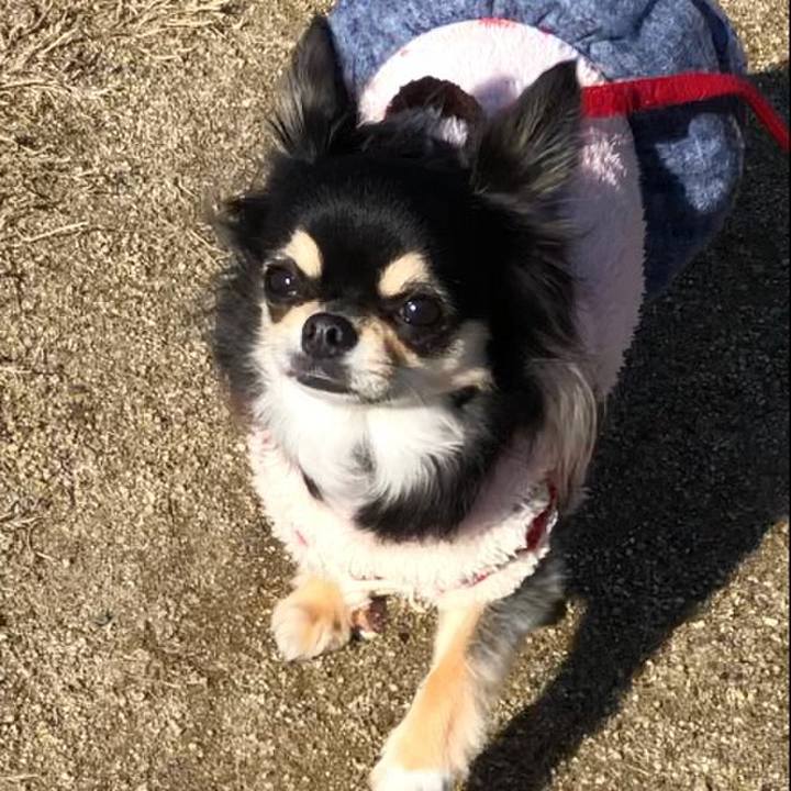 25b9685c 6c0c 4876 9d68 26e7c8b6e320 1580945936947