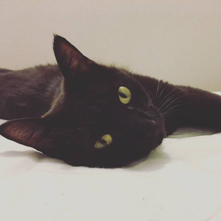 25ba0de5 a04a 4c2e a2c4 450f4eeb7e20 1526274033030