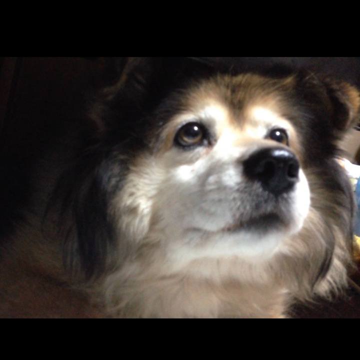 25ba104d abbb 4d20 b7fc 6274fe99e40f 1634565370643