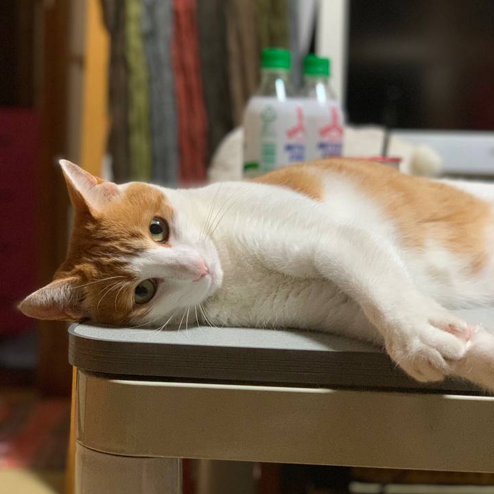 25ba1247 f801 459d 9718 497dc566f76a 1563727842344