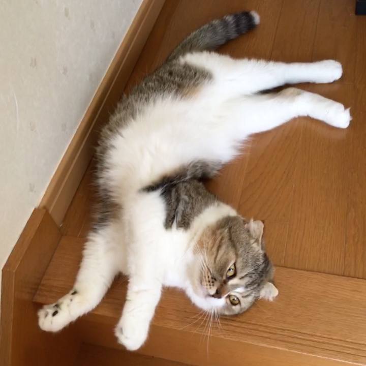 25ba4a3f 02c6 4ac9 8ead 40d4ee58f1ae 1532279789545