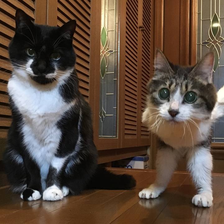 25bab322 380f 4f97 bf39 62bc2bf35982 1510401558141