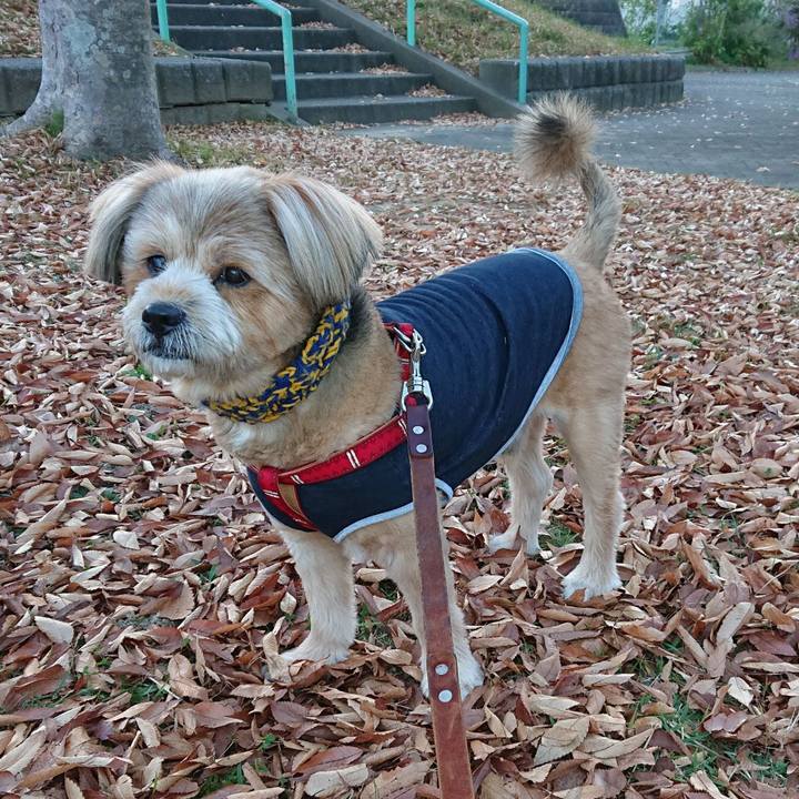 25bacad0 b2c6 4bce 8cab d3226328ef63 1633527314396