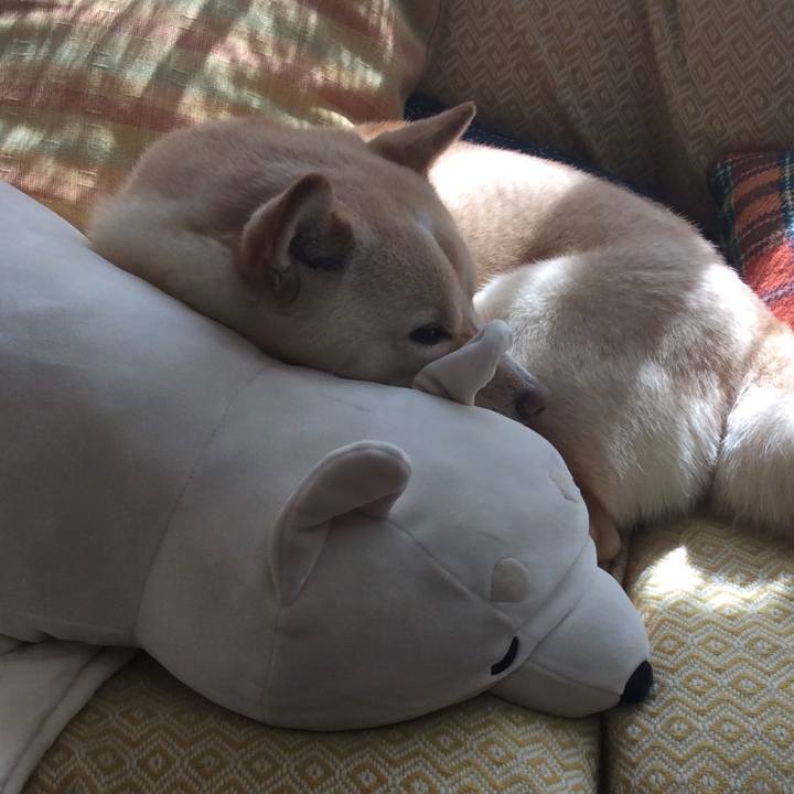 25baf7af d8b7 4f5b 995a ce0385659d4b 1550889495515