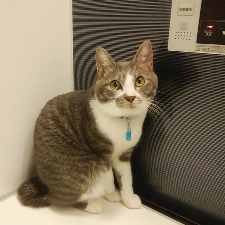 25bb0765 44de 4f46 8e3c 30ac621062a5 1587482092416