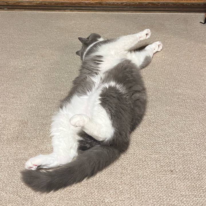 25bb0e2e 7f85 4d2a 9fcd 8b623638b02e 1756898685246