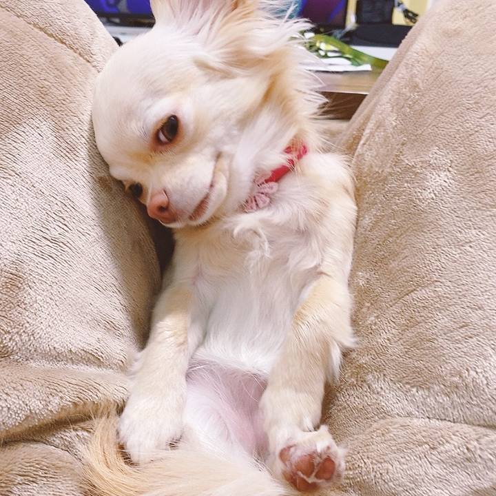 25bb12e9 3ae3 4a9d 8d3c 93a3fb4083d1 1616306268494