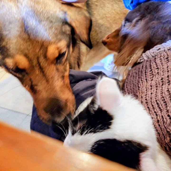 25bb266c 0716 4608 8a5d 60e045eade4e 1767145600214