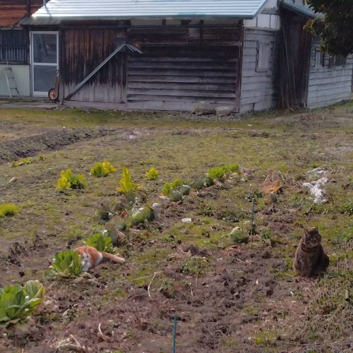 25bb32b2 0de3 42ac bc07 089eb1f7a3e3 1774427997091