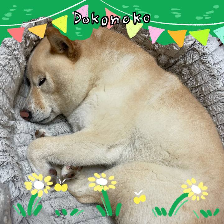 25bb3ac4 df40 458e b22a 4c2f29107214 1711371523858