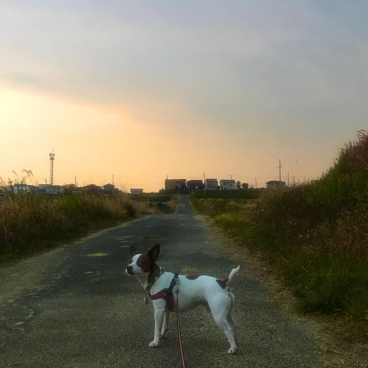 25bb3ae7 e071 454c becc 934305c4dce4 1512037209368