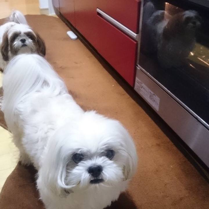 25bb6948 8802 449a 9229 53d0216c3191 1508820532995