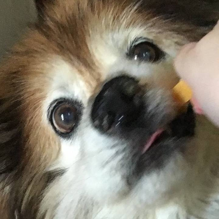 25bb9305 014b 40b6 91e4 a38abdaffcb5 1614706771867