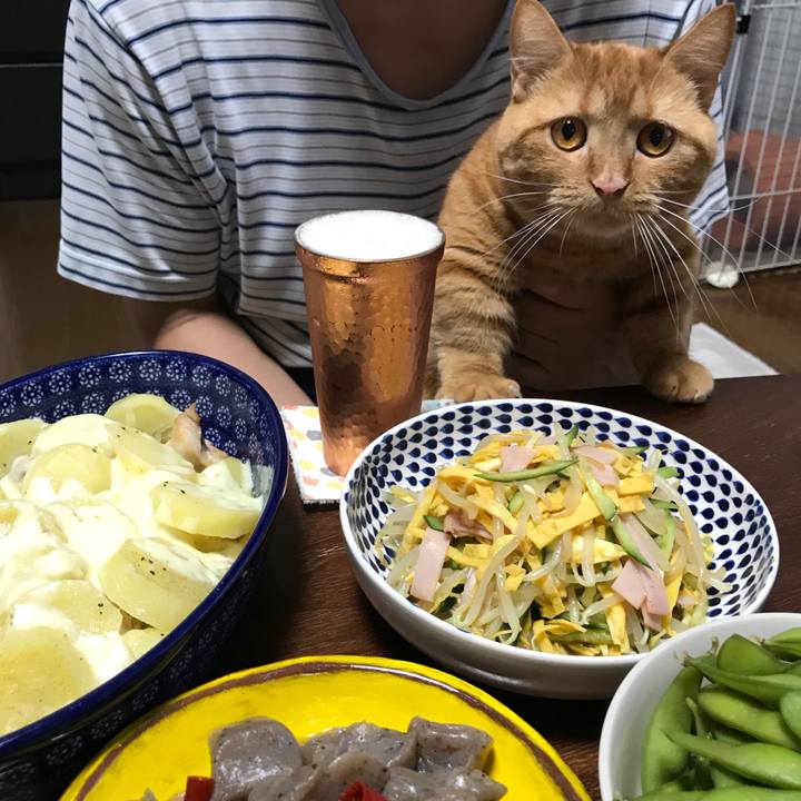 25bbe2de 6ad5 48bf 8ca2 9ccbb01bbbbb 1530879429542