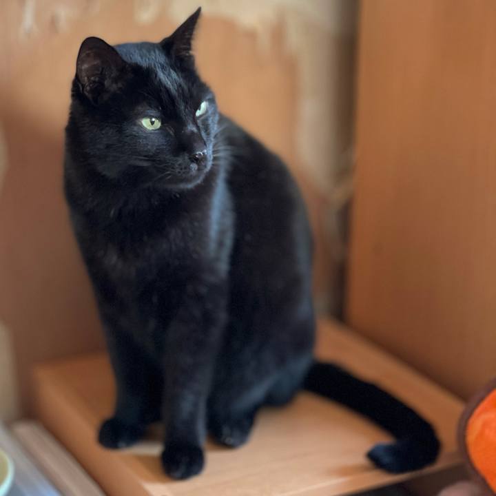 25bbecf7 e7e6 4b5a 9403 b95aa0daa357 1609637538999