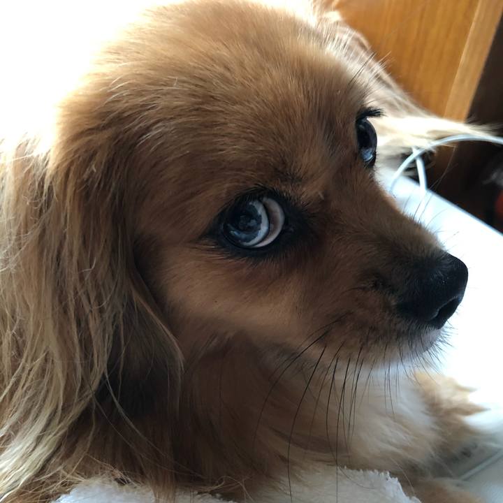 25bc1e7b a0df 4d8b a456 f21e814322e7 1568151893929