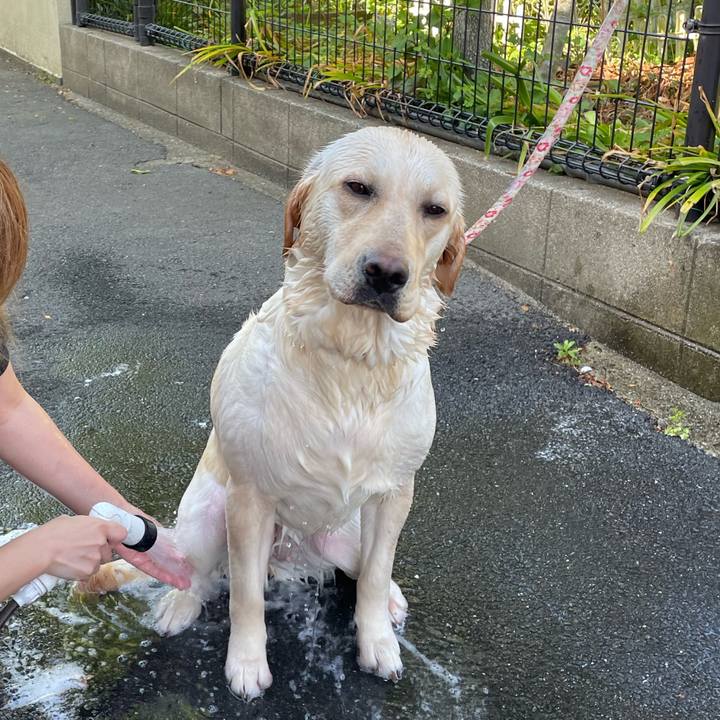 25bc47c0 437c 43ab 92d8 308df9c10f3e 1651913300514