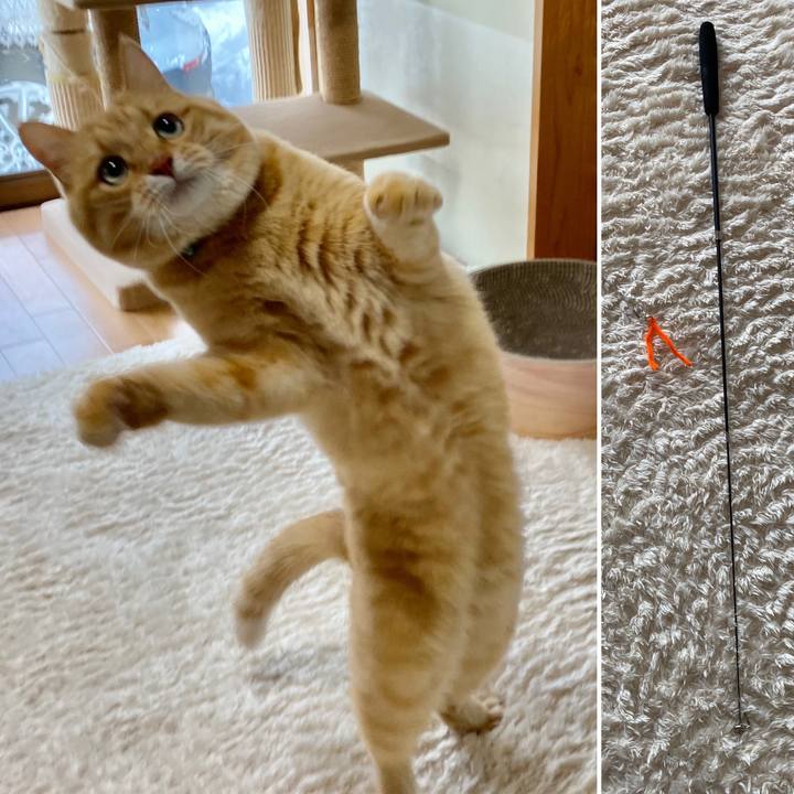 25bc59d2 2c93 45d1 b7e1 65ef72782ab1 1641179414065