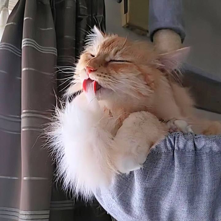 25bc5f21 3ec2 491a a883 40c719accaf5 1724460070634