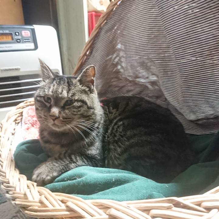 25bc67c2 cc67 430e 8414 371c3a0121e5 1642253000193