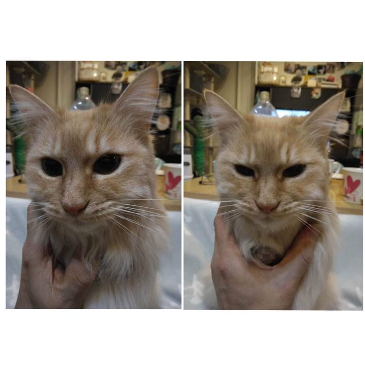 25bc8103 7a8d 4a1b a9c7 18d4388f820e 1676291644581