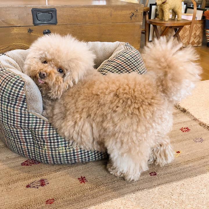 25bc91bc 15d6 421d 99ea bac3c5fe966e 1556617078726