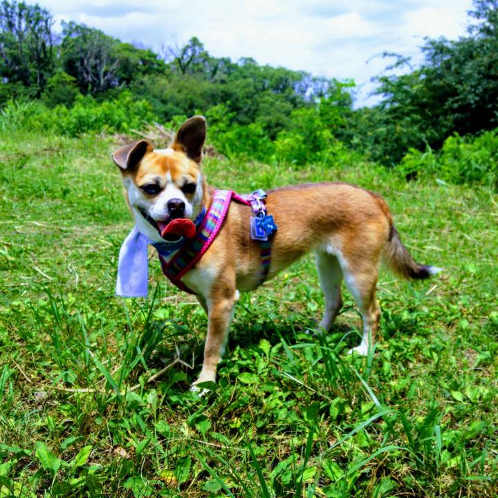 25bca36a f5af 4d4c 9af9 c36eaa772d47 1530434124186