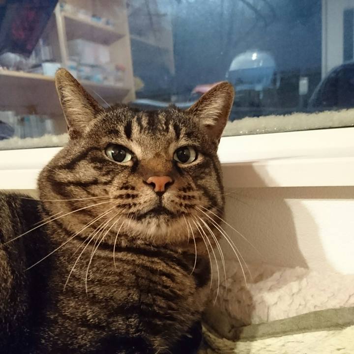 25bca652 cb53 4d22 8edb 33438f236f1b 1511052616704