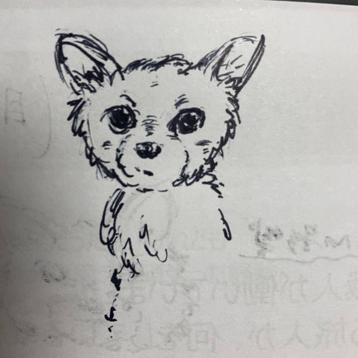 25bd07e9 a242 4385 9484 ee87ab277bb6 1770465250625