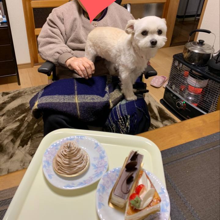 25bd2d78 103f 487b bfcd 5367950bf593 1638099286761