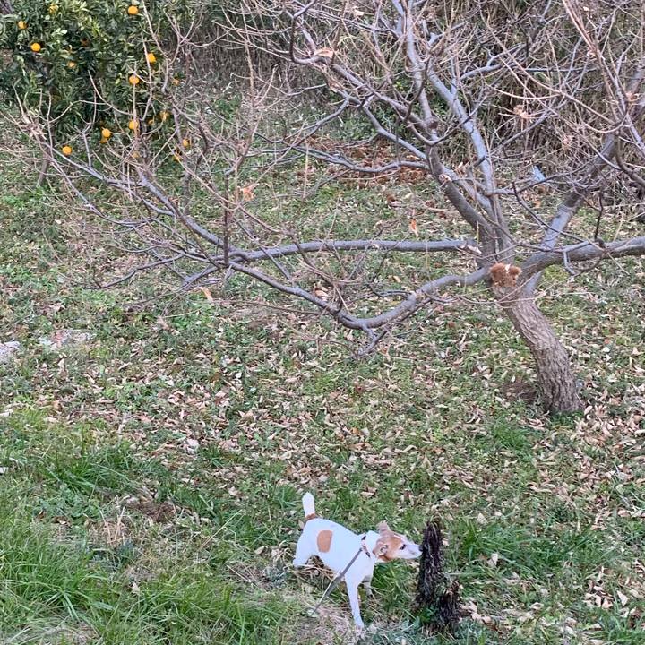 25bd38d0 c0b1 4f56 a337 05d827cd47e7 1610893096881