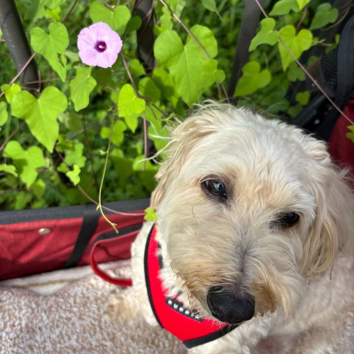 25bd54c3 a80e 4391 a0d6 8d3c422d12c4 1759630481733