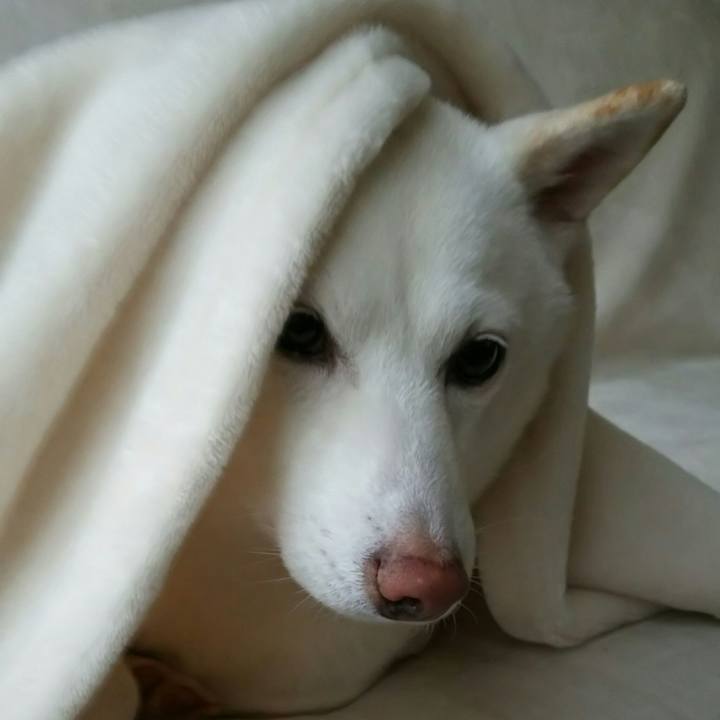 25bd5aee c20c 4e3b b548 bc2f1ab782bb 1578980762605