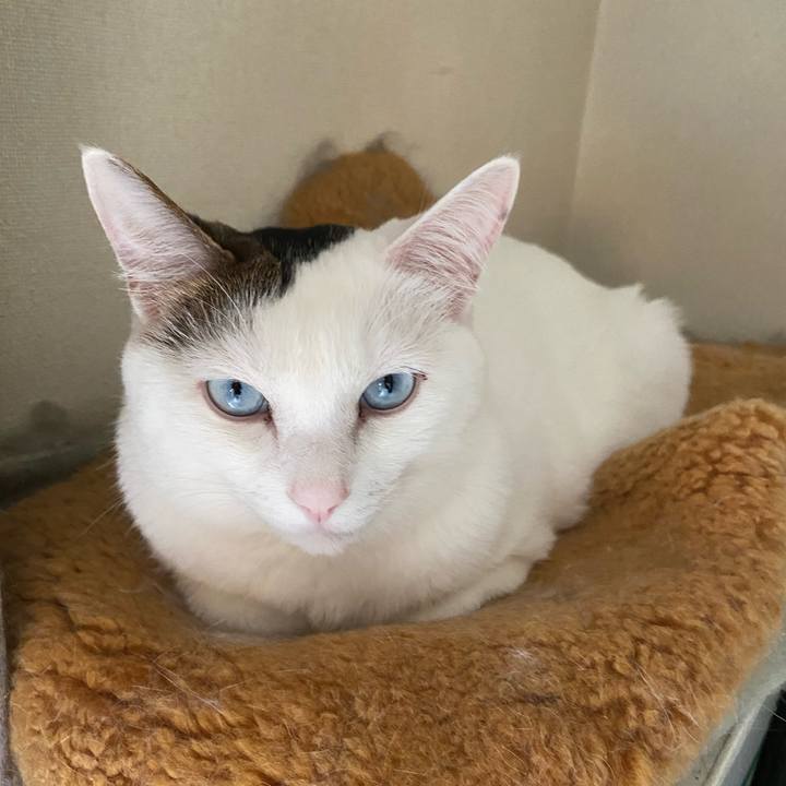 25bd6662 6f76 4f5f a8ad a7f39cf3c871 1666476264133