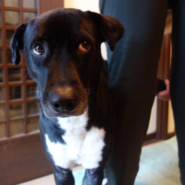 25bd76b1 c9f8 4f06 97e3 b96695d59288 1610496146223