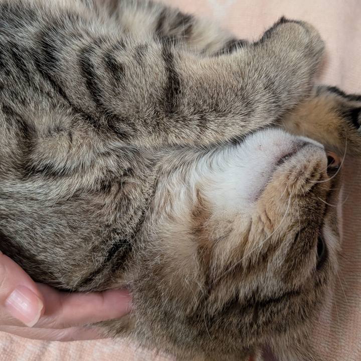 25bd7bc8 6cdc 4385 97a8 0ea86613c2bf 1760390786999