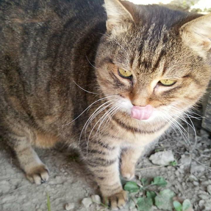 25bd8509 8965 4237 89b5 8545943a387b 1516068703339