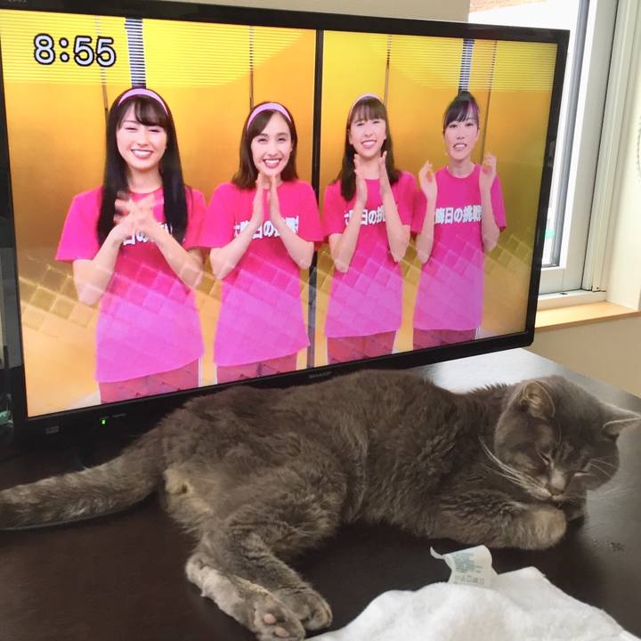 25bd85b8 035f 4782 ad88 ab9766f8aea7 1546214341751