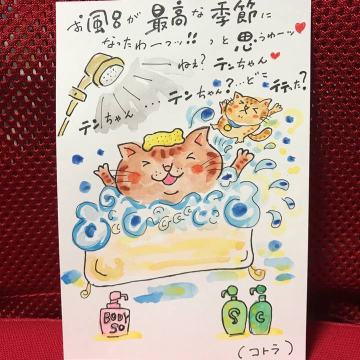 25bdb421 f6f1 4e69 94e9 dd2c02d67d52 1539263327798