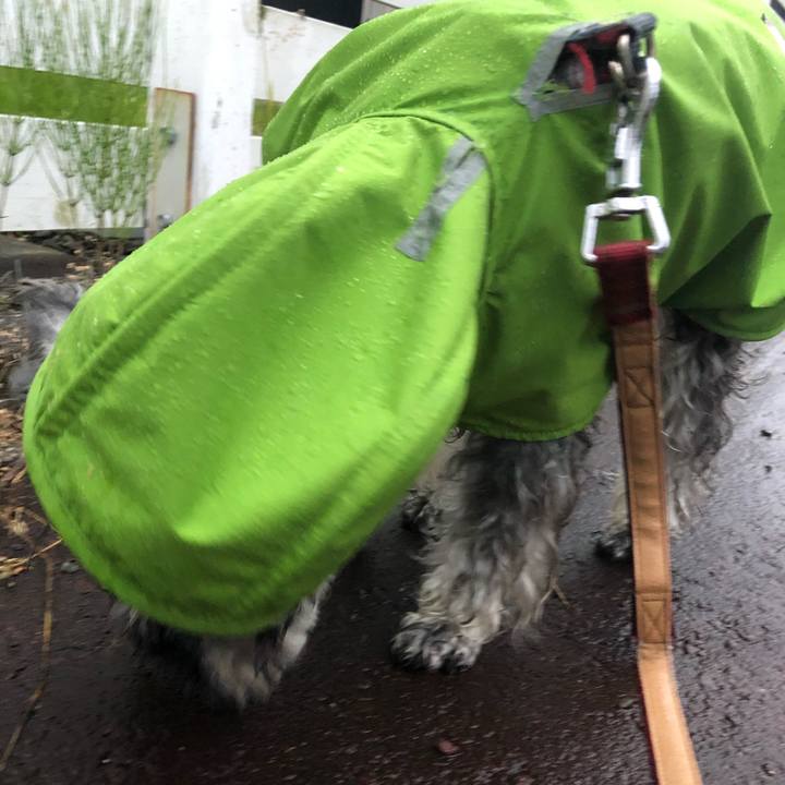 25bdcfa1 db5e 4c21 8f28 06344f78644a 1686227577329