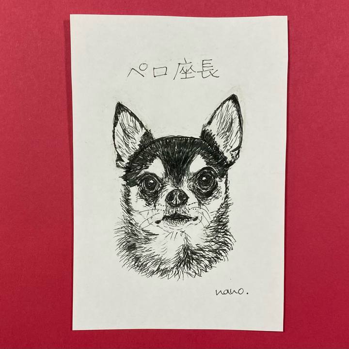 25bdfe82 b6b2 48e8 9f42 c9229c7db80c 1648972581804