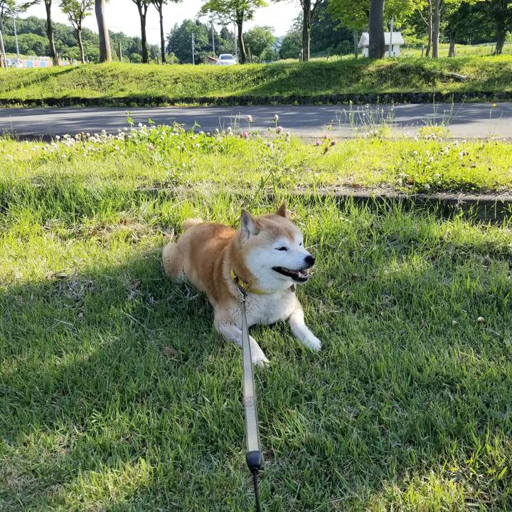 25be10e5 5cb7 4bc0 9b05 aaaf29f2032f 1685862562242