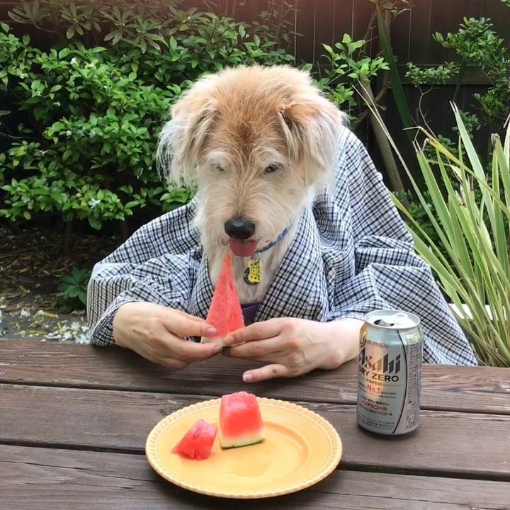 25be12a9 548d 46c9 b7b3 d5c543109e53 1596251738194