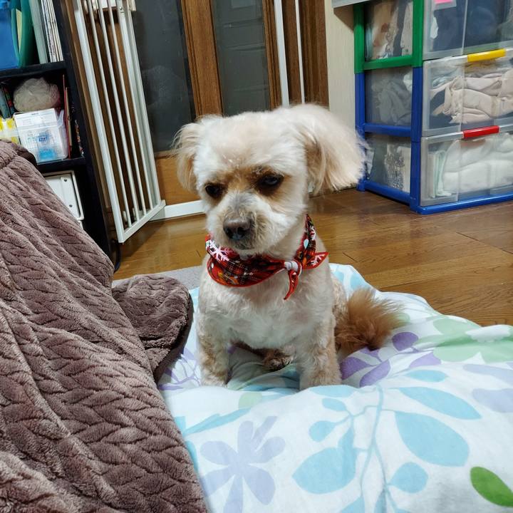 25be903e 4bc2 4cdc a6f1 a2d5208af4c9 1676757471845