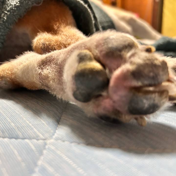 25becc24 4796 4582 ab9a e1beccc3af14 1755597579529