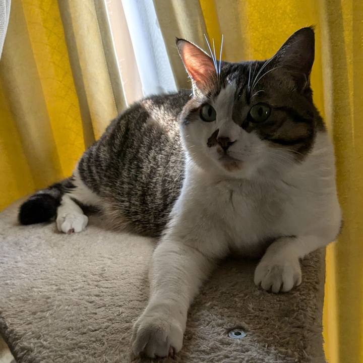 25bee363 66b1 42ef 8234 2d3458d3e2f3 1731975696618