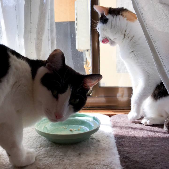 25bf0145 e6b4 4988 8053 dd3113a23f2d 1526005133886