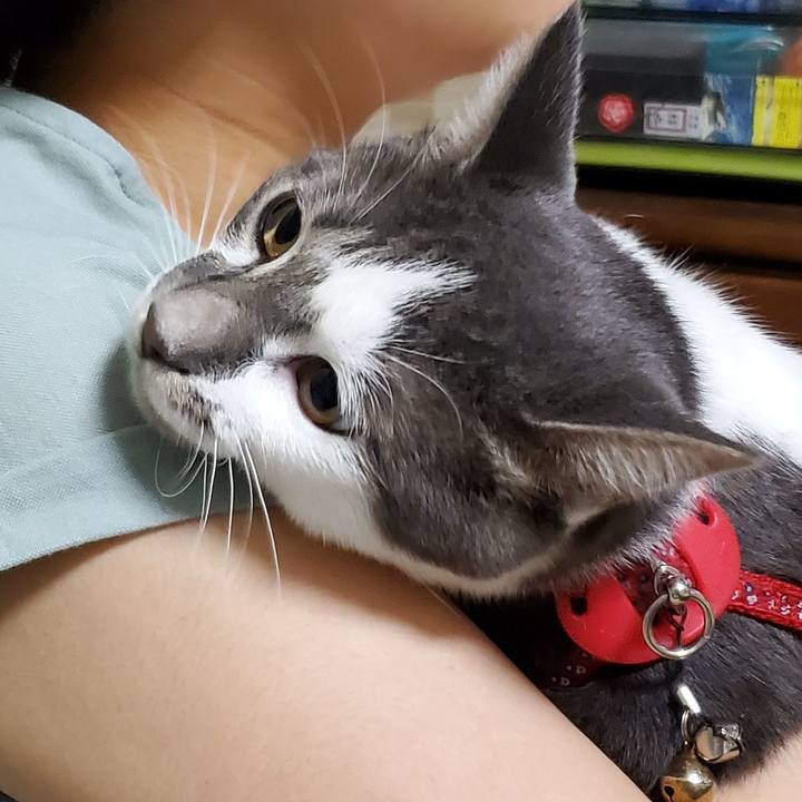 25bf1043 c8e8 4b43 b1ae aa4b1ceb83cf 1695528163054