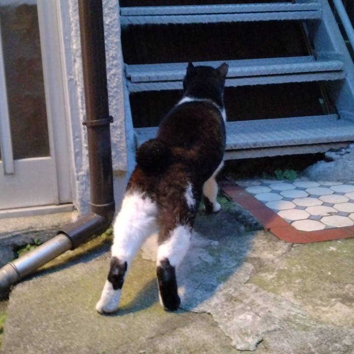 25bf17b5 b990 4228 a4e6 c9db84560d52 1703404721966