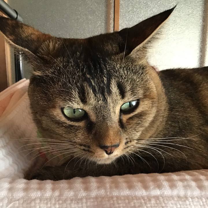 25bf1bd3 ac02 43bc b595 fe8f81a87d3f 1632897596018